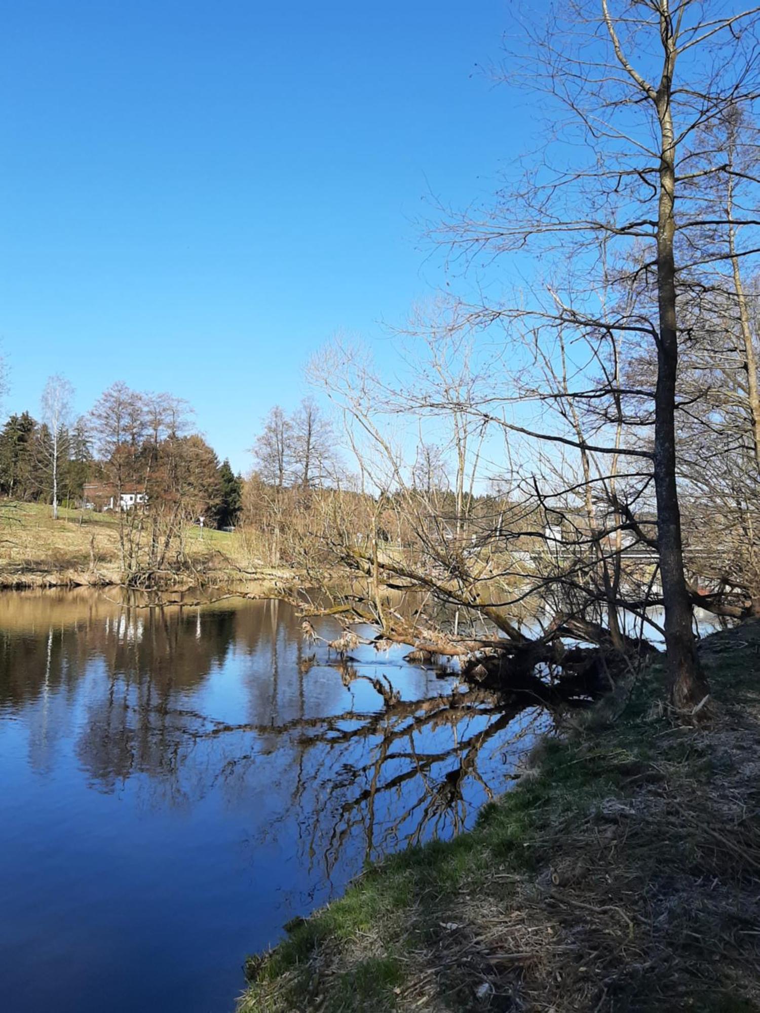 Fewo Fink Regen Esterno foto