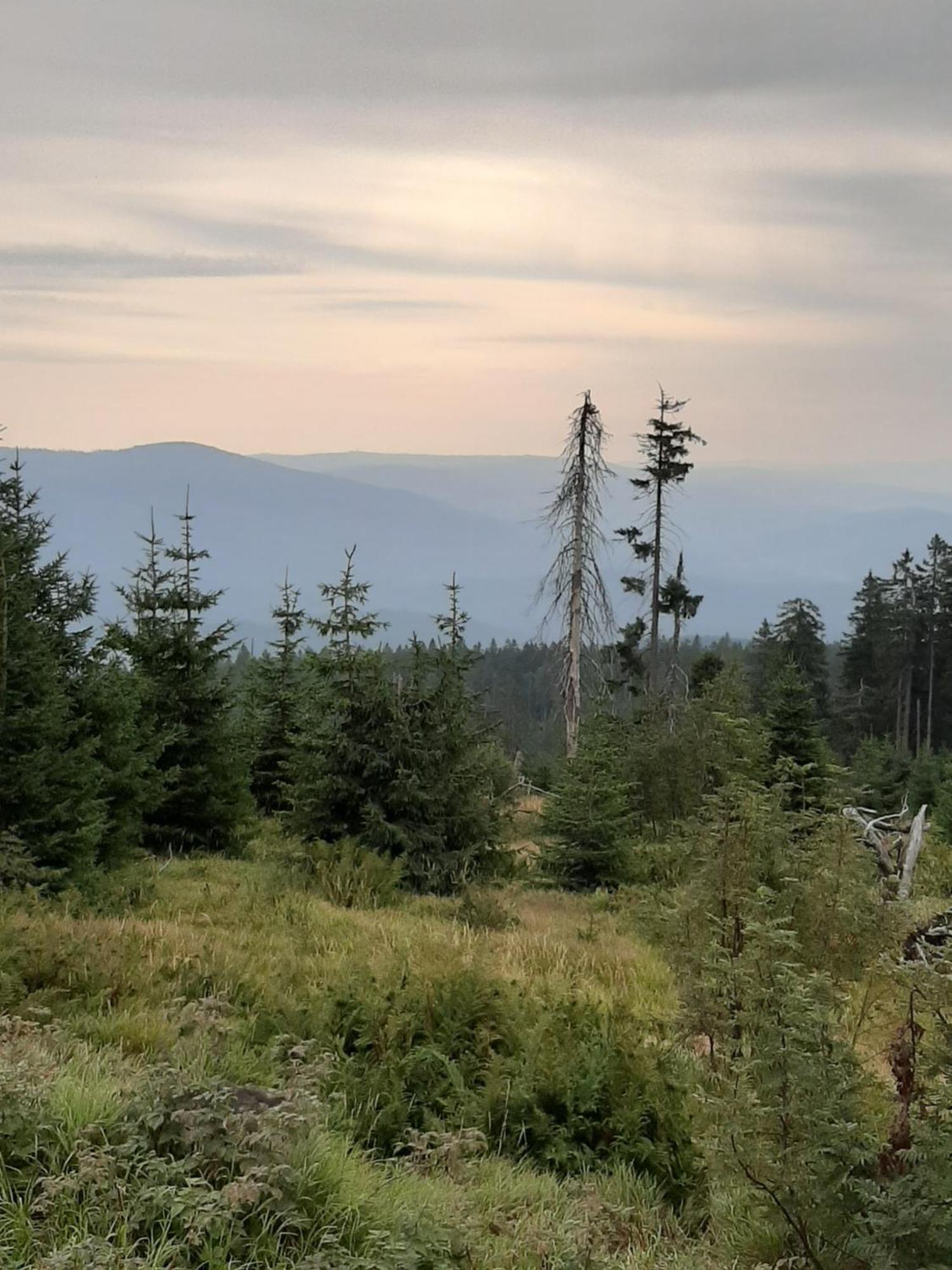 Fewo Fink Regen Esterno foto
